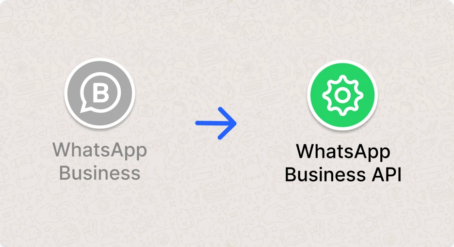 Pasar de WhatsApp Business a WhatsApp API